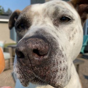 Meet your Posher, Lindsay